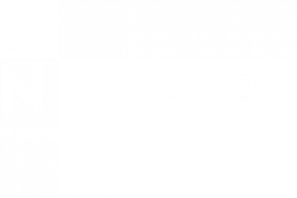 logo-Inhaus-2019-blanco